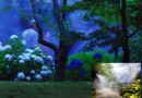 日本初のミストでリフレッシュ♪ 日本初のミストでリフレッシュ♪