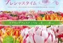まちに待った花回廊の『スプリング・フェスティバル 』 開催中♪ まちに待った花回廊の『スプリング・フェスティバル 』 開催中♪